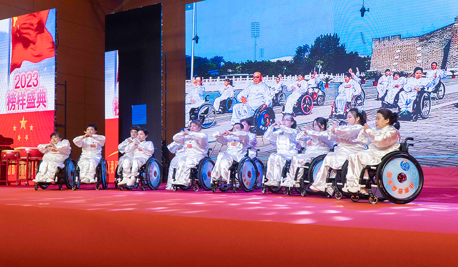 Sedia a rotelle manuale